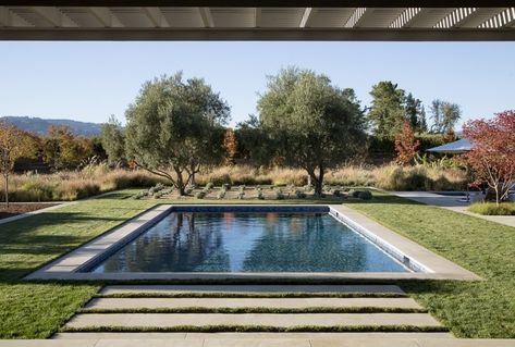 Swimming Pool of the Week: A Dive into a Napa Valley Landscape Napa Valley Landscape, Napa House, Backyard Pool House, Pool Drawing, Swimming Pictures, Living Pool, Valley Landscape, Swimming Pool House, Diy Swimming Pool