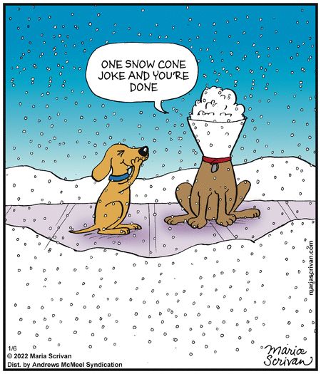 Snow Day Quotes, Snow Humor, Puppy Quotes, Cone Of Shame, Dog Comics, Puppy Snuggles, Snoopy Funny, Funny Cartoon Pictures, Funny Expressions