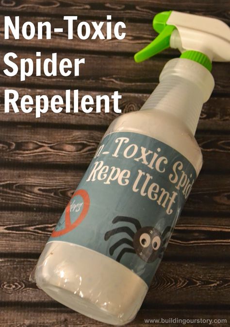 Homemade Spider Repellent - Fun and all natural DIY spider "be gone" spray with a free printable. Love this use of peppermint oil! Safe for kids and pets too. Homemade Spider Spray, Spiders Repellent Diy, Peppermint Oil For Spiders, Natural Spider Repellant, Spider Repellent, Peppermint Oil Uses, Spider Spray, Repellent Diy, Spiders Repellent