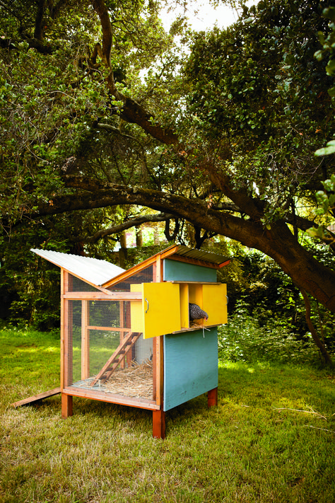 Chick-in-a-box  DIY lovers can build this coop at home with McElroy and Wolpe’s “Re-inventing the Chicken Coop.” It nods back to the era of midcentury Modernism with its inverted butterfly roof. The water-wise design funnels rainwater directly from the roof to the chickens. The hens can dwell in a cabinet-like nesting nook and climb up and down the two levels with an adorably petite ladder. Backyard Chicken Coop Diy, Suburban Farm, Pallet Coop, Chicken Business, Urban Chicken Coop, Chicken Houses, Chicken Head, Easy Chicken Coop, Butterfly Roof