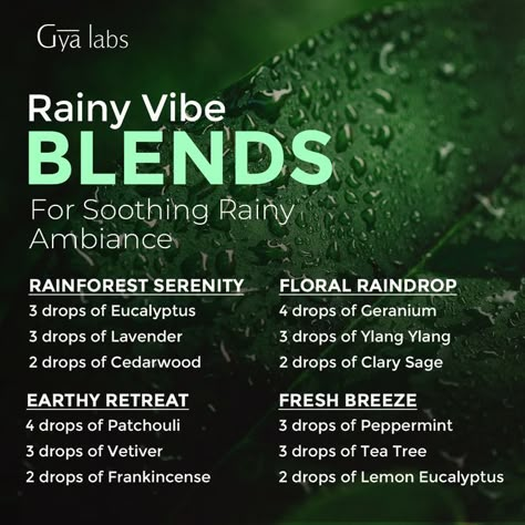 Best Smelling Essential Oils, Diffuser Scents, Essential Oil Perfumes Recipes, Scent Blends, Eo Blends, Essential Oil Combinations, Perfume Recipes, Essential Oil Diffuser Blends Recipes, Essential Oil Carrier Oils