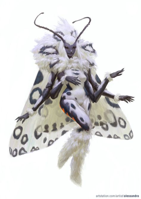 Moth Fairy, Creature Fantasy, Heroic Fantasy, Fantasy Races, Mystical Creatures, Arte Fantasy, Fairy Art, Creature Concept, 영감을 주는 캐릭터