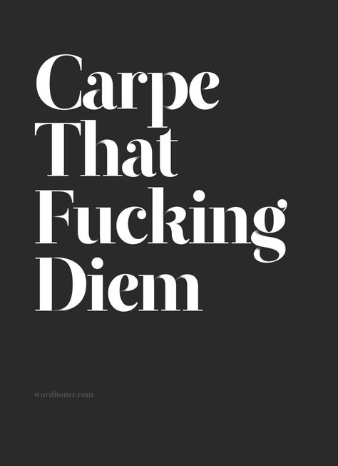 excuse my language, but I love it ! Daily Quotes, The Words, Inspire Me, Cool Words, Words Quotes, Favorite Quotes, Wise Words, Quotes To Live By, Me Quotes