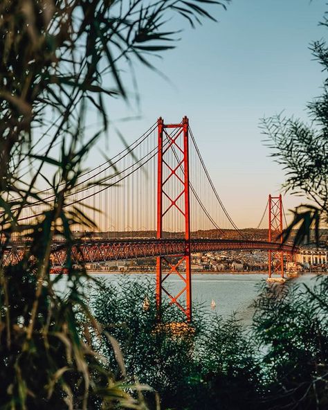 Wine Tourism, Lisbon Travel, Seven Hills, Luxury Travel Destinations, Premium Wine, Suspension Bridge, Wine Tour, Lisbon Portugal, Iconic Landmarks