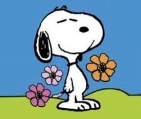 PEANUTS - Snoopy with flowers Bird Cartoon Character, Sweets Ideas, Bird Cartoon, Appreciation Post, Cartoon Character, Cartoon Art, We Heart It, Snoopy, Lost