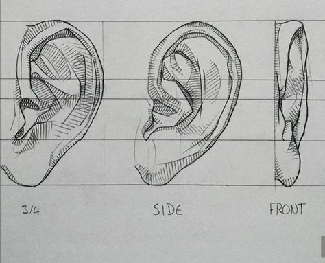 Ears Drawing, Ear Drawing, Portraiture Drawing, Sketches Tutorial, Guided Drawing, Art Drawings Sketches Creative, Pencil Art Drawings, Anatomy Art, Drawing Tutorials