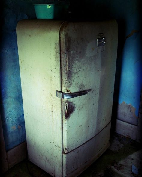 Old Fridge, Vintage Appliances, Dresser Storage, Theatre Design, The Basement, Top Freezer Refrigerator, Good Old, Accent Colors, Food Art