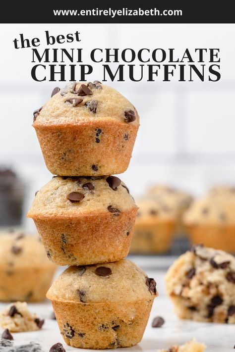 These are the best mini chocolate chip muffins. They have a soft, buttery, bakery-style texture and chocolatey flavor that makes them perfect portable breakfasts and snacks. Bake up 24 easy mini muffins with this versatile 11-ingredient recipe ready in just 40 minutes. Mini Choc Chip Muffins, Mini Muffins Chocolate Chip, Mini Chocolate Chip Muffins Healthy, Quick Mini Muffins, Chocolate Chip Muffins No Butter, Copycat Mini Muffins, Cinnamon Mini Muffins, Muffins Recipes Chocolate Chip, Small Batch Chocolate Chip Muffins