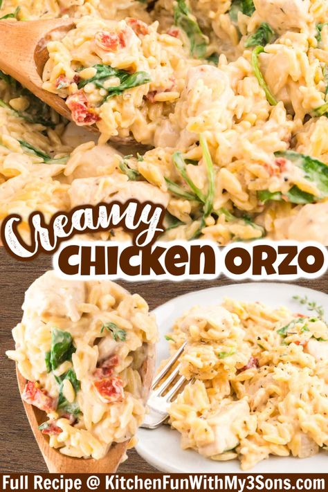 Chicken Orzo Spinach Casserole, One Pan Chicken Orzo Bake, Baked Tuscan Chicken Orzo, Tuscan Chicken Orzo Casserole, One Pan Orzo Chicken Bake, Ground Chicken And Orzo, Easy Chicken Orzo Recipes, Cheesy Chicken Orzo, Dump And Bake Chicken Orzo