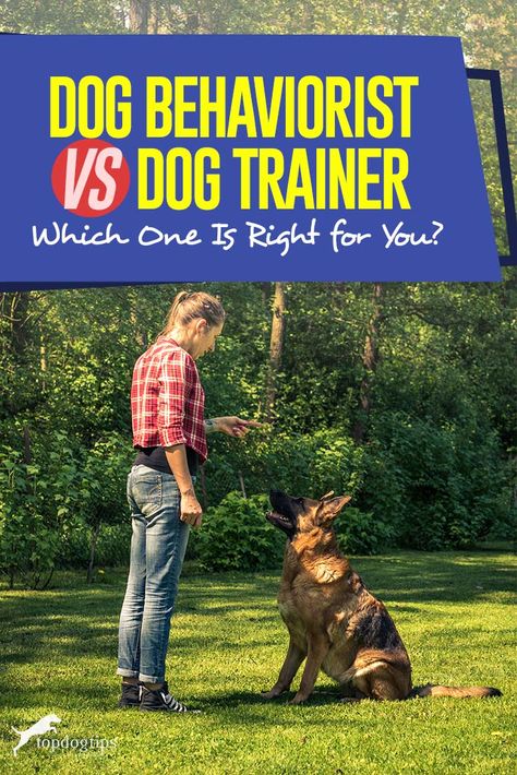 Dog Training At Home, Dog Behaviorist, Training At Home, Animal Behaviorist, House Training Dogs, Dog Training Techniques, Best Dog Training, Animal Behavior, Obedience Training