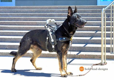 Task: Counter-Balance & Bracing﻿ - MY CRPS SERVICE DOG Mobility Service Dog, Service Dog Harness, Dog Biting Training, Service Dogs Gear, Medication For Dogs, Assistance Dog, Guide Dog, Dog Training Collar, Service Dog