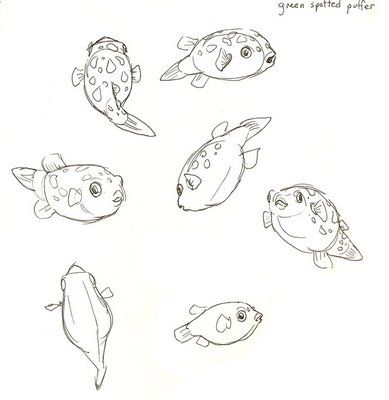 green spotted puffers Puffer Fish Tattoo Drawings, Green Spotted Puffer Fish, Pufferfish Drawing, Pufferfish Tattoo, Puffer Fish Tattoo, Puffer Fish Drawing, Fairytale Tattoos, Sea Sketches, Fun Things To Paint