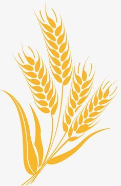 Wheat Design Ideas, Wheat Drawing Simple, Wheat Images, Wheat Silhouette, Wheat Graphic, Wheat Stencil, Wheat Symbol, Wheat Illustration, Wheat Drawing