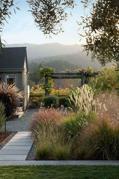 Dream Landscapes: 10 Perennial Gardens Inspired by Piet Oudolf - Gardenista Drought Resistant Plants, Dream Landscape, Grasses Garden, Garden Makeover, Have Inspiration, Plants And Flowers, Perennial Garden, Ornamental Grasses, Garden Inspired