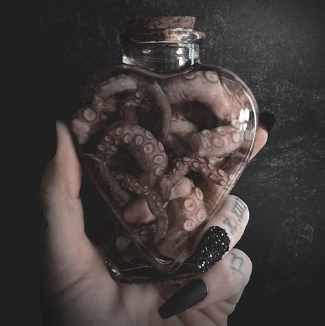 Octopus Tentacle Apothecary Heart Shaped Bottle Real Wet Specimen Taxidermy Valentine's Day Curiosity Bottle - Etsy Oddities Aesthetic, Real Heart, Things To Collect, Oddities And Curiosities, Wet Specimen Display, Wet Specimen Taxidermy How To, Oddity Taxidermy, Bone Taxidermy, Taxidermy Aesthetic