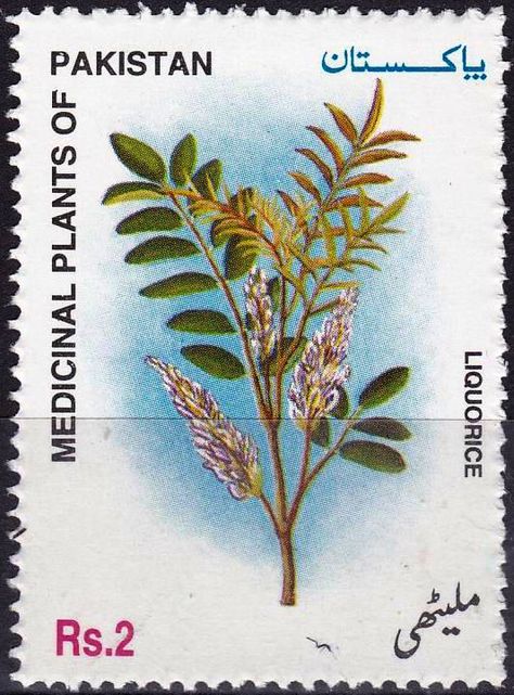 Pakistan Postage Stamps, Pakistani Stamps, Pakistan Stamp, Vintage Postage Stamps, Painting Inspo, Vintage Postage, Postal Stamps, Medicinal Plants, Postage Stamp