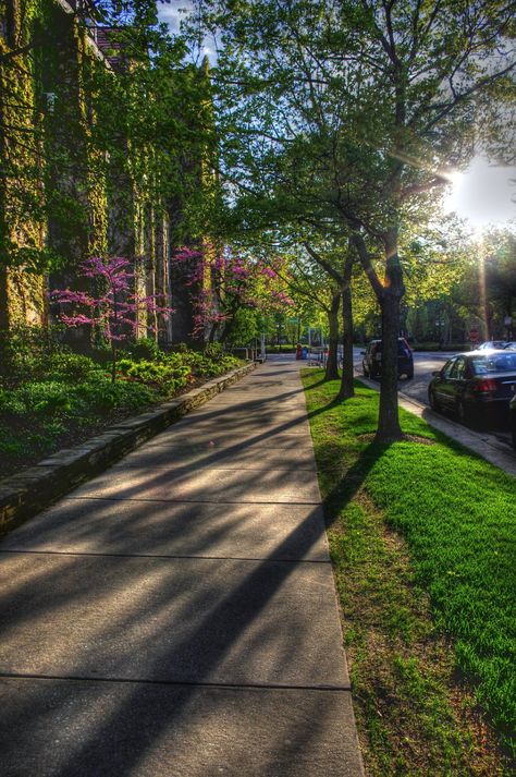 All sizes | One Sunny Afternoon | Flickr - Photo Sharing! Harvard Campus, University Of Chicago, Centennial Park, Nice Places, The University Of Chicago, Sunny Afternoon, College Park, Northwestern University, College Campus