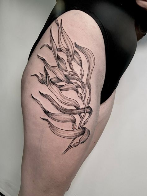 Marine Plants Tattoo, Shark Shin Tattoo, Austrian Tattoo Ideas, Ocean Filler Tattoo Ideas, Sealife Tattoo Sleeve, Giant Kelp Tattoo, Seagrass Tattoo, Kelp Forest Tattoo, Kelp Tattoo Seaweed