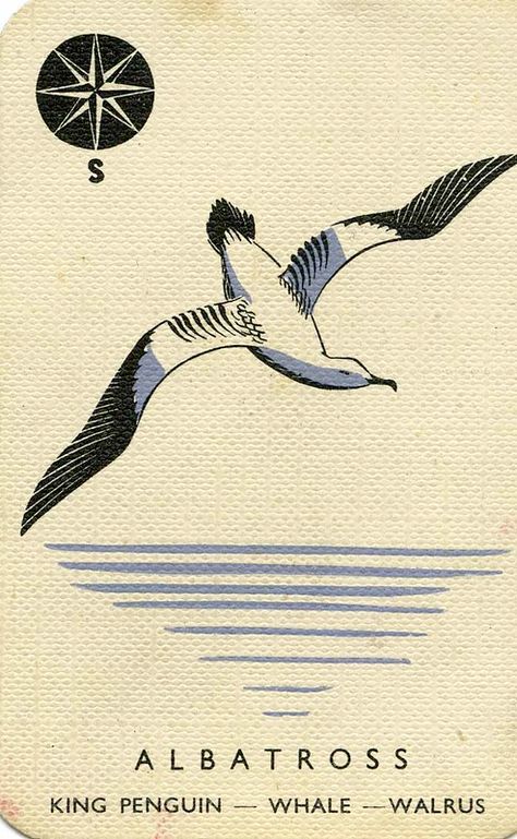 Albatross Tattoo Design, London 1950s, Dino Nuggies, Anatomy Pictures, Animal Families, Ancient Mariner, Badass Tattoos, Farm Design, Birds Tattoo