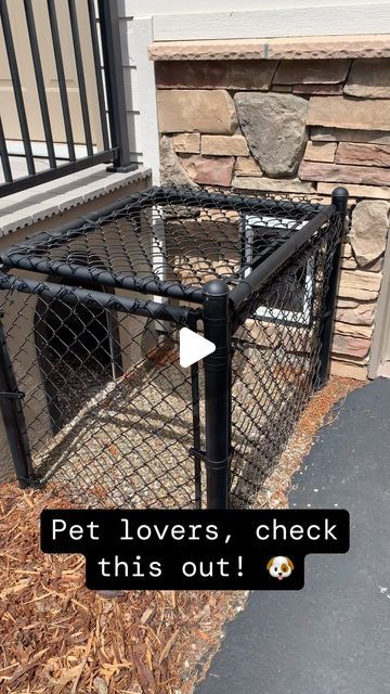 Outdoor Dog Spaces, Dog Room Design, Outdoor Dog Area, Kennel Ideas Outdoor, Dog Kennel Outside, Dog Enclosure, Dog Backyard, Dog Den, Dog Bedroom