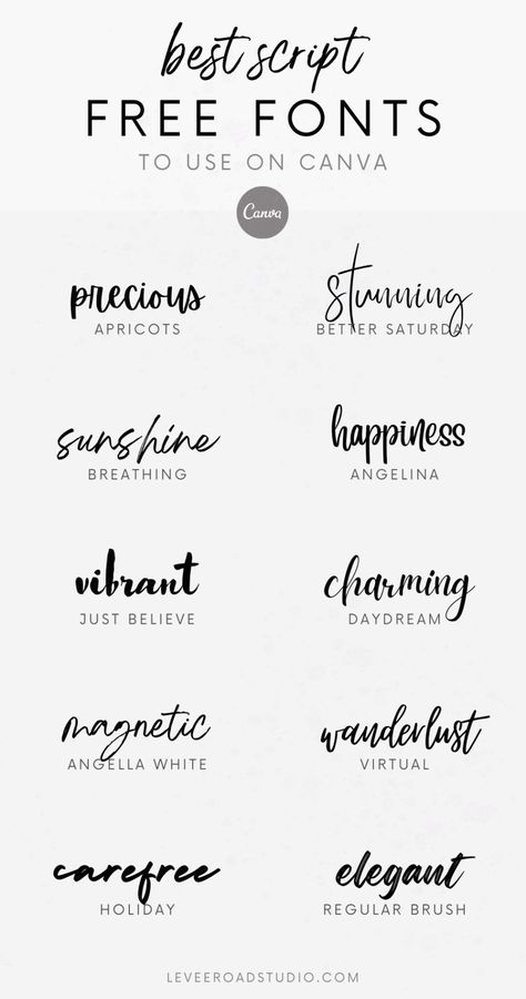 Finding the right font can be challenging. Not anymore! Dive into our selection of the best free script fonts available on Canva, ranging from elegant cursive to modern handwriting fonts. Set the right tone for your projects today! Follow to get different fonts and calligraphy ideas, Canva font combos, and typography inspiration, wedding fonts and more. Pretty Script Tattoo, Tattoos Handwriting, Script Tattoo Font, Knuckle Tattoos For Guys, Tattoos Cursive, Tattoos Stomach, Tattoos Names, Stomach Tattoos For Guys, Pretty Fonts Alphabet