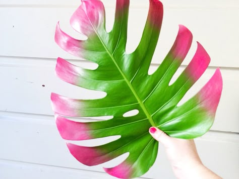 Palm #myaltparty #altlovesmaurices Tropical Halloween, Havana Nights Theme, Diy Babyshower, Island Birthday, Luau Decorations, 25th Anniversary Party, Girly Birthday Party, Vibrant Florals, Fiesta Tropical