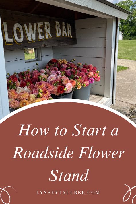 A roadside flower stand full of buckets of dahlias Flower Selling Stand, Roadside Flower Stand Diy, Mobile Flower Trailer, Road Side Flower Stand, Flower Cart Business, Self Serve Flower Stand, Roadside Flower Stand Ideas, How To Start A Flower Farm, Flower Stand Sign