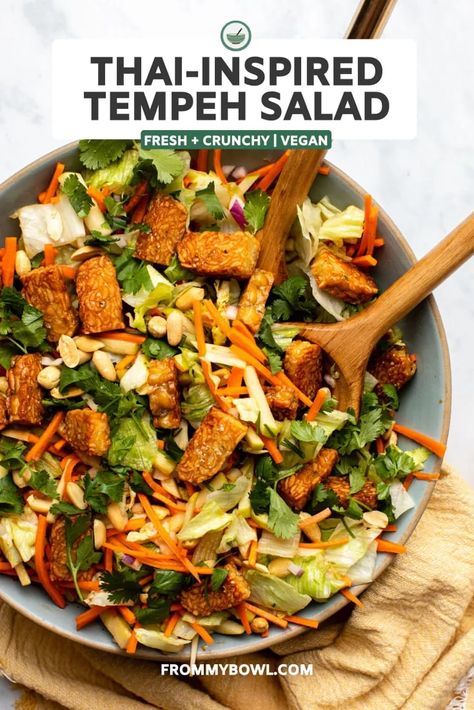 This Thai-Inspired Salad with Tempeh is an ode to my favorite dish at our local Thai restaurant. Packed with crunchy veggies and crispy fried tempeh, then drenched in a tangy lime dressing! Vegan + Gluten-Free. Fried Tempeh, Crunchy Veggies, Tempeh Recipes, Vegan Salad Recipes, Hearty Salads, Savory Vegan, Lime Dressing, Allergy Friendly Recipes, Thai Restaurant