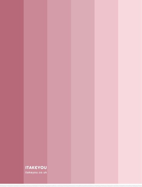 Pink Rose Colour Scheme | Shades of pink colour palette | Pink Combos Rose Gold Color Palette, Earth Colour Palette, Red Color Scheme, Pink Color Palette, Gold Color Palettes, Pastel Red, Red Colour Palette, Pastel Roses, Color Palette Pink