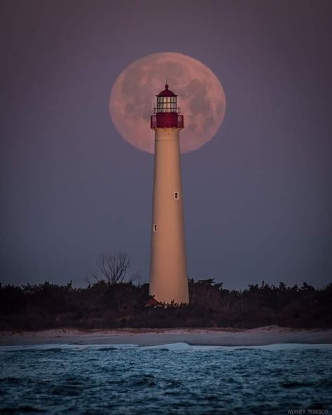 Lighthouse Tattoos, Worm Moon, Cape May Lighthouse, Cape May Beach, Lighthouse Tattoo, Beach Tattoo, Beach Trips, Cape May, North Star