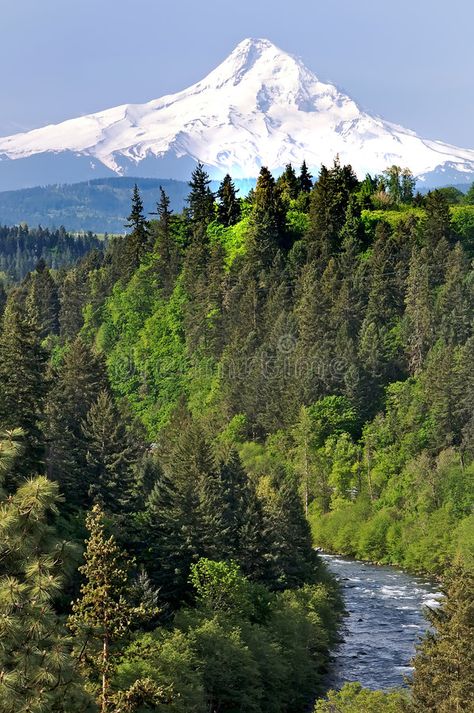 Mount Hood with River in Foreground. Mt. Hood, Oregon, with a river running in t , #Sponsored, #River, #Foreground, #Mount, #Hood, #Mt #ad Usa Vacations, Oregon Mountains, Mt Hood Oregon, Landscape Tattoo, Forest Scenery, Mount Hood, Hood River, Mt Hood, Vacation Usa