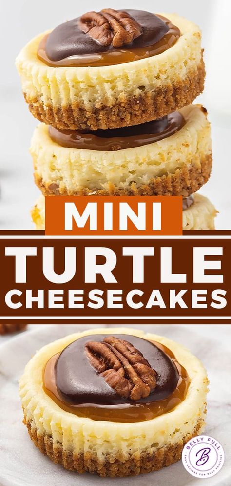 Mini Turtle Cheesecake Bites, Turtle Cheesecake Bites, Mini Turtle Cheesecake Recipe, Mini Turtle Cheesecakes, Mini Holiday Cheesecakes, Mini Turtle Cheesecake, No Bake Turtle Cheesecake, Mini Muffin Tin Recipes, Easy Desert