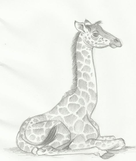 drawing giraffes | baby giraffe by huntergirl463 traditional art drawings animals 2011 ... Giffafe Drawing, Baby Animals Drawings, Giraffe Drawings, Draw Giraffe, Painting Outlines, Eraser Drawing, Giraffe Sculpture, Colorful Giraffe, Pottery Barn Baby