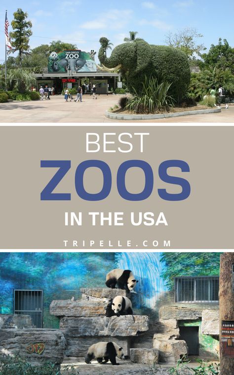 So how did we decide on the top10  zoos to rate as part of the best zoos in the US? We also considered the family-friendliness of the zoo itself, as well as how suitability it was for kids. And we came up with a list of the best zoos in the USA. Incidentally, some of these best zoos in US are also rated top zoos in the world. Whether you have kids or are still wonderfully thrilled with animals as an adult, here are the top and best zoos in the USA Best Zoos In The Us, Kansas City Zoo Missouri, Columbus Zoo And Aquarium Tips, Animal Adventures, Zoo 2 Animal Park, Indianapolis Zoo, Visit Alaska, Travel America, Africa Destinations