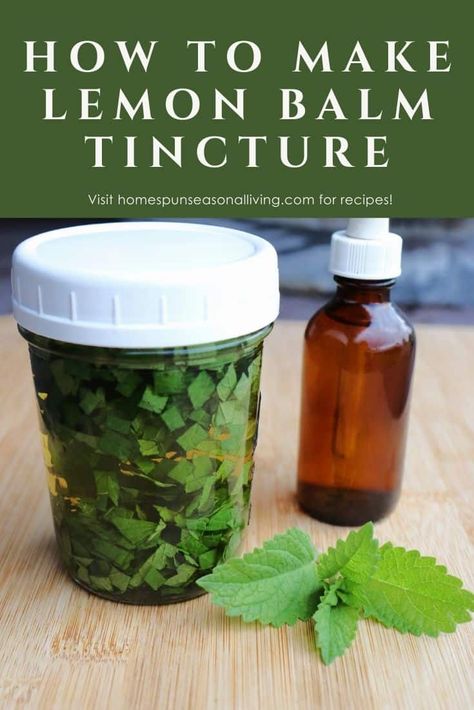 Learn how to make a simple and natural lemon balm tincture to calm frazzled nerves, encourage sleep and more with this simple method. Lemon Balm Recipes, Lemon Balm Tincture, Tinctures Recipes, Herbal Medicine Recipes, Herbal Remedies Recipes, Medicinal Herbs Garden, Medical Herbs, Herbal Tinctures, Natural Healing Remedies