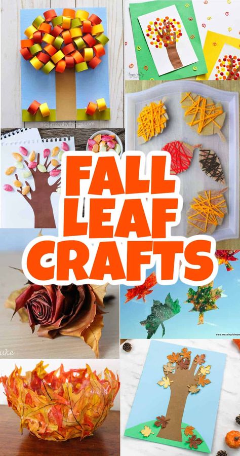 Celebrating the turning of the Autumn leafs with lots of fun Fall leaf crafts. Try one of these Fall leaf crafts including stainglass, Fall Leaves Object Lesson, Fall Leaf Crafts Kindergarten, Leaf Kindergarten Crafts, Animals Made From Leaves, Crafts With Fake Leaves, Fall Leaf Projects For Preschool, Leaf Tree Craft, Leaf Art Projects For Kids Preschool Fall Trees, Coffee Filter Leaf Craft