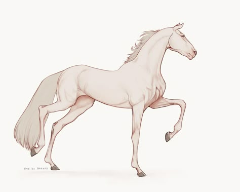 Horse And Rider Reference, Cartoon Horse Sketch, Horse Tail Drawing, Horse Side Profile Drawing, Paint Horse Drawing, Horse Laying Down Drawing, Cute Horses Drawing, Horse Drawing Base, Barrel Racing Drawing