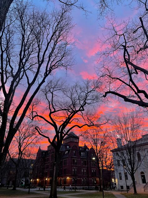 Harvard Dental School, Harvard University Aesthetic Wallpaper, Harvard Motivation, Harvard University Aesthetic, College Harvard, Harvard Aesthetic, Harvard University Campus, Harvard Yard, University Inspiration