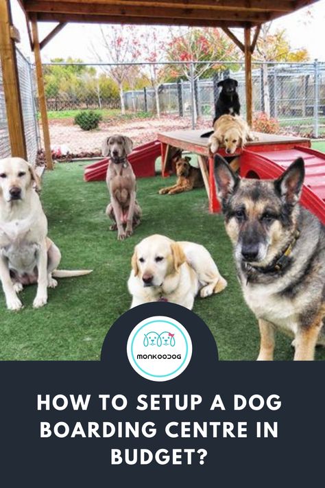 Starting A Dog Boarding Business, Dog Boarding Facility Ideas At Home, Starting A Dog Kennel Business, At Home Dog Daycare, In Home Dog Daycare Ideas, Pet Boarding Business Ideas, In Home Dog Boarding, Doggy Daycare Business, Dog Boarding Facility Ideas