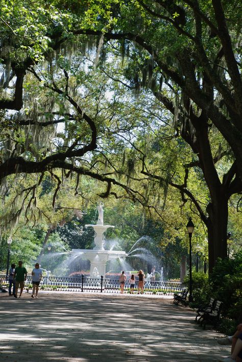 Forsyth Park, Savannah, Georgia Savannah Georgia River Street, Savannah Georgia Aesthetic, Savannah Core, Forsyth Park Savannah, Spanish Moss Trees, Savannah Gardens, Southern Aesthetic, Tybee Island Beach, Southern Summer