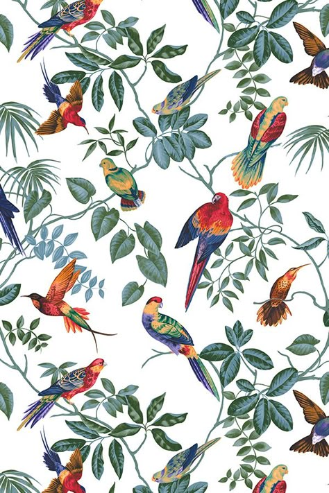 Aviary Multi Original wallpaper #tropicalwallpaper #wallmural #tropical #birds #flowers #tapet #behang #homedecor #wallart #photowallsweden Modern Wallpapers, Birds Wallpaper, Tropical Wallpaper, Bird Wallpaper, Digital Print Fabric, Tropical Birds, Plant Illustration, Original Wallpaper, Interior Art