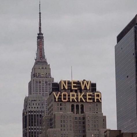 Racetrack Higgins, Tyrell Wellick, Northern Exposure, Nyc Baby, Tall Buildings, Empire State Of Mind, Amy Pond, Nyc Aesthetic, Private Eye