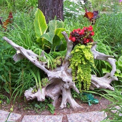 DIY Coastal Garden Ideas - Coastal Decor Ideas Interior Design DIY Shopping Driftwood Landscaping, Driftwood Landscaping Ideas, Driftwood Garden, Driftwood Planters, Unique Planters, Driftwood Ideas, Themed Garden, Succulent Gardens, Gardening Inspiration