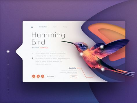 The Small Bird Ux Design Inspiration, Web Ui Design, Web Design Tips, Ui Design Inspiration, Web Inspiration, Web Layout Design, App Ui Design, Web Layout, Ux Web Design