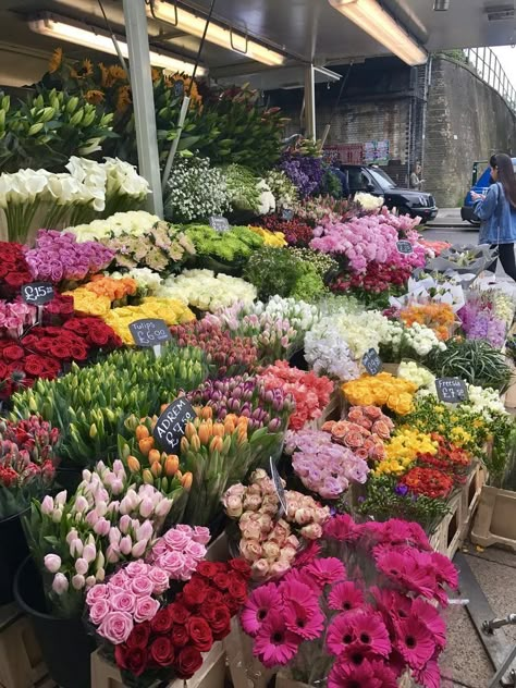 Boquette Flowers, Nothing But Flowers, Flower Therapy, Bunch Of Flowers, Flower Lover, Types Of Flowers, Flower Market, Love Flowers, Flowers Photography