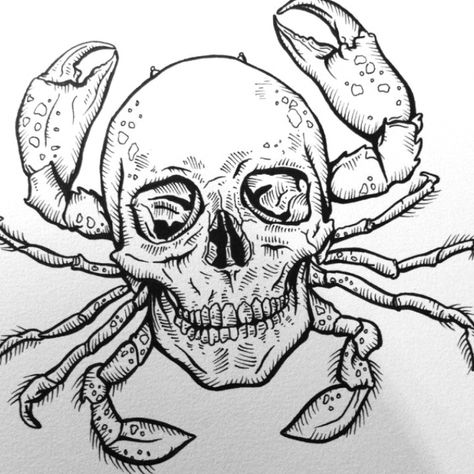 Crab Skull Tattoo, Scary Crab Drawing, Crab Tattoo Men, Crab Tattoo, Animals Tattoo, Beginner Tattoos, Skull Coloring Pages, Animal Skeletons, Moth Tattoo