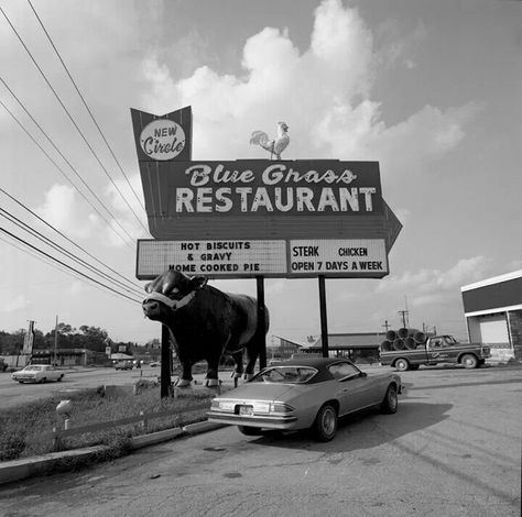 Bluegrass Restuarant Lexington Restaurants, Elizabethtown Kentucky, Kentucky Vacation, Paducah Kentucky, Kentucky Memes Funny, Kentucky Attractions, Chicken Home, Western Kentucky University, Movie Night Snacks