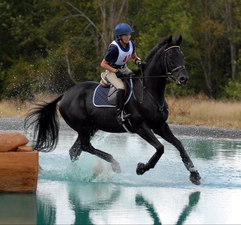 I want a tall, black, eventing-type horse just like this, and I would name him Loki. :D Equestrian Memes, Cross Country Jumps, Show Jumping Horses, Beautiful Horse Pictures, Eventing Horses, Horse Inspiration, Funny Horses, Horse Boarding, Black Horses