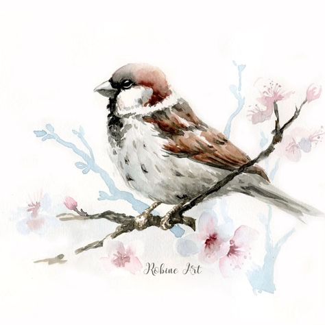 Spring🤍 blooms🤍 birds singing 🌺🍀🐦🌷🪻🌿🕊️ . #sparrow #sketchbook #watercolorpainting #birdsofinstagram #birds #birdlover #springvibes #watercolorartist #watercolorinspiration #watercolor_daily #watercolorsketchbook #watercolor_art #robineart Drawing Room Paint, Watercolor Sparrow, Sparrow Watercolor, Birds Paintings, Sparrow Art, Birds Singing, House Sparrow, Room Painting, April 4