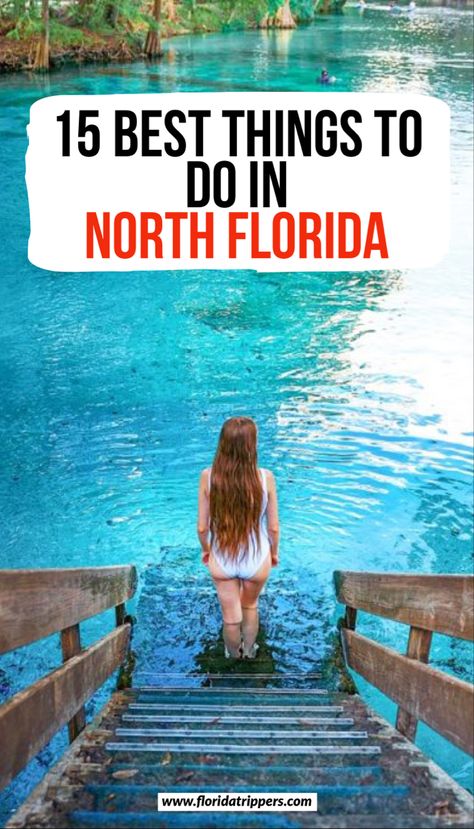 Florida Bucket List, Places To Visit In Florida, Aventura Florida, Florida Activities, Things To Do In Florida, Florida Travel Destinations, Florida Attractions, Adventure Trips, Northern Florida